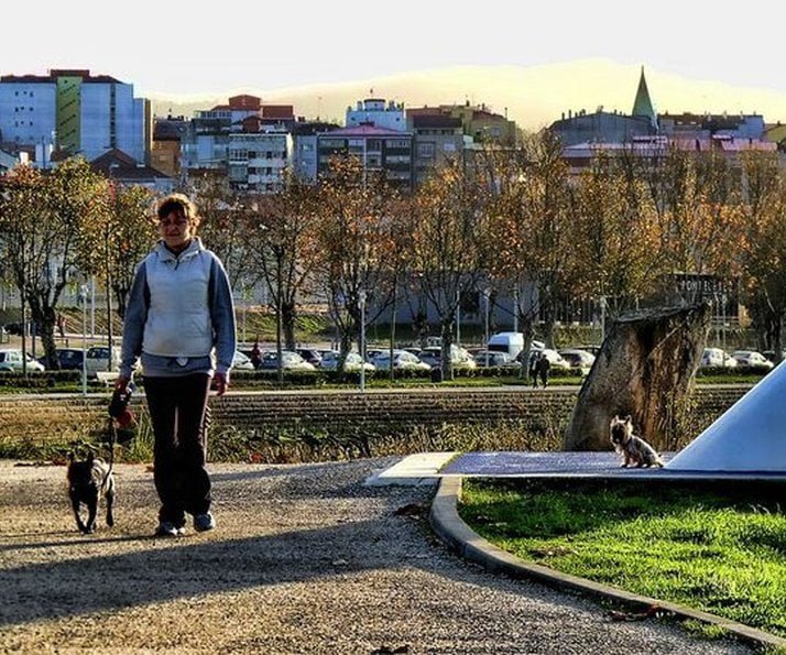 La importancia del paseo diario con tu perro